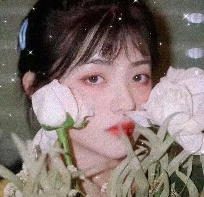 女高怪谈